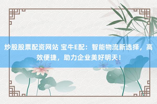 炒股股票配资网站 宝牛E配：智能物流新选择，高效便捷，助力企业美好明天！