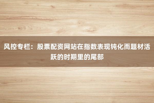 风控专栏：股票配资网站在指数表现钝化而题材活跃的时期里的尾部