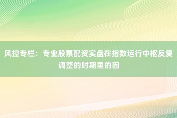 风控专栏：专业股票配资实盘在指数运行中枢反复调整的时期里的因
